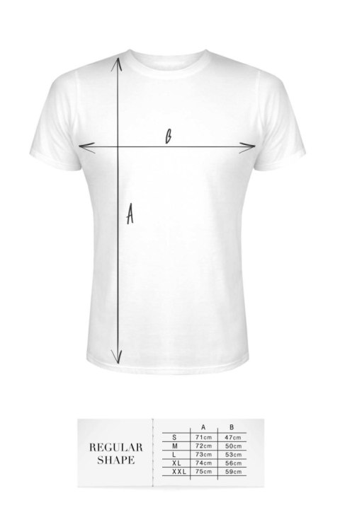 T-shirt men white S regular T-shirt men white S regular