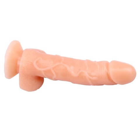 Dildo kręgosłup realistyczny penis przyssawka 20cm