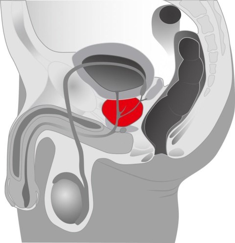 Rotacyjny masażer prostaty wibrator 5 trybów 20cm