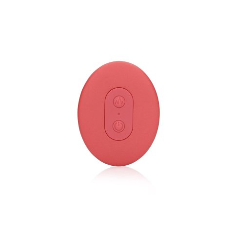 Panty Vibrator with Remote Control